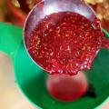 How to make raspberry jam for the winter (step-by-step recipe)?