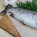 Lightly salted trout - recipes in brine with photos