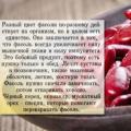 Haricots : composition, teneur en calories et valeur nutritionnelle Glucides de haricots rouges