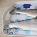 Jak osolit lososa doma - recepty a videa krok za krokem