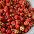 Strawberry (Victoria) jam for the winter