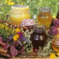 ما هي أنواع العسل الموجودة فحص جودة العسل تخزين العسل ما هي الزهور التي يتم جمع العسل منها؟