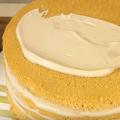 Delicate sponge cake How to make “Tenderness” cake at home: step-by-step recipe