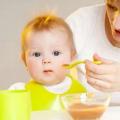 Рецепти за страдащи от алергии: Вкусни и безопасни ястия за деца Телешко, задушено със сини сливи