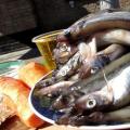 How to cook sprats according to a recipe at home - photos and videos How to cook sprats at home